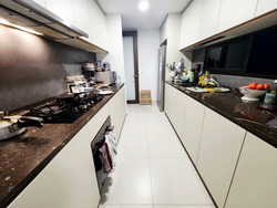 Kopar At Newton (D9), Apartment #478972791